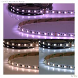 NewLux ECO RGB+WW+KW CCT Flexband, 24V DC, 19W, IP20, 5in1 Chip, 5m Rolle, 60 LED/m
