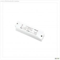 BASIC DRIVER 1-10V 12W 300mA