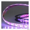 NewLux ECO RGB Flexband, 24V DC, 14,4W, IP66, 5m Rolle, 60 LED/m
