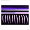 5050-60-24V-violett-5m